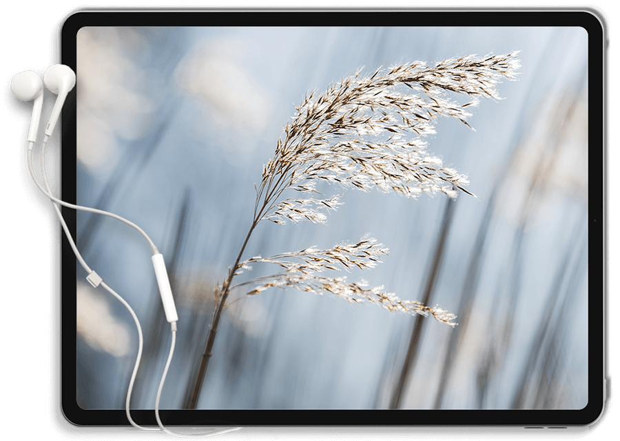 https://tajepodvedomi.cz/wp-content/uploads/2022/01/Tablet.png